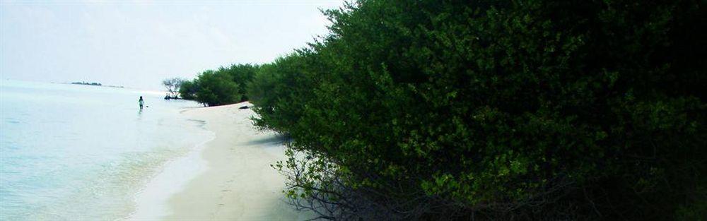 Isle Beach Inn Maldives Luaran gambar